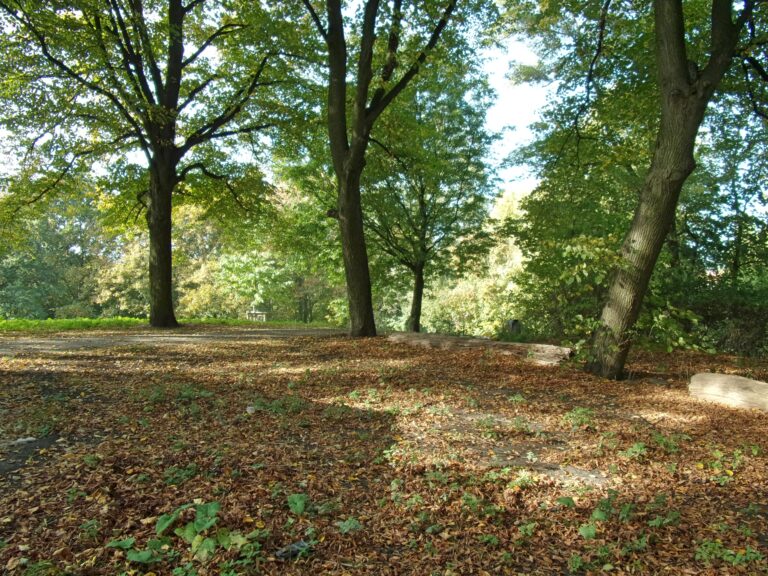Aschberg in Hamburg – Hundeort für Hunde