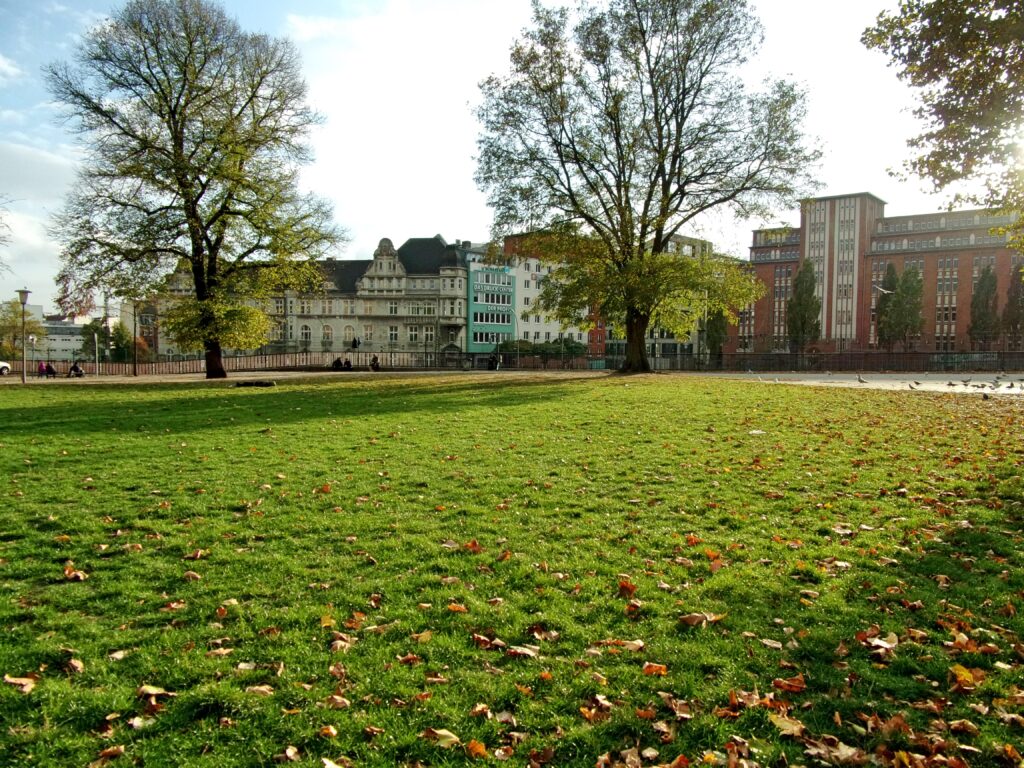 August-Bebel-Park in Hamburg – Hundeort für Hunde