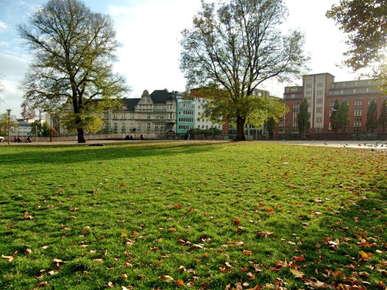 August-Bebel-Park in Hamburg – Hundeort für Hunde