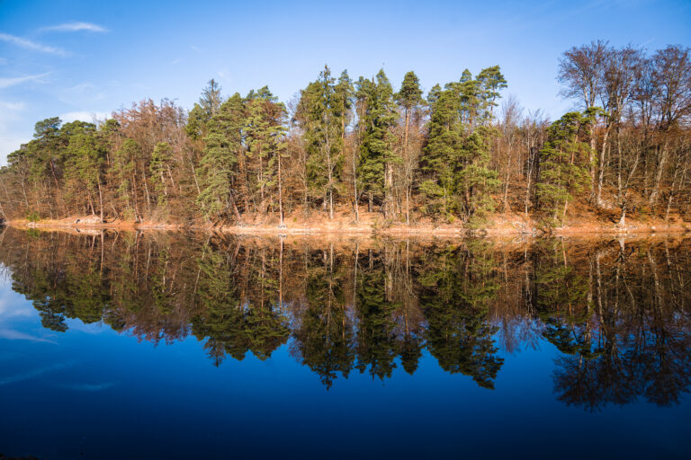 Bärensee in Stuttgart – Hundeort für Hunde