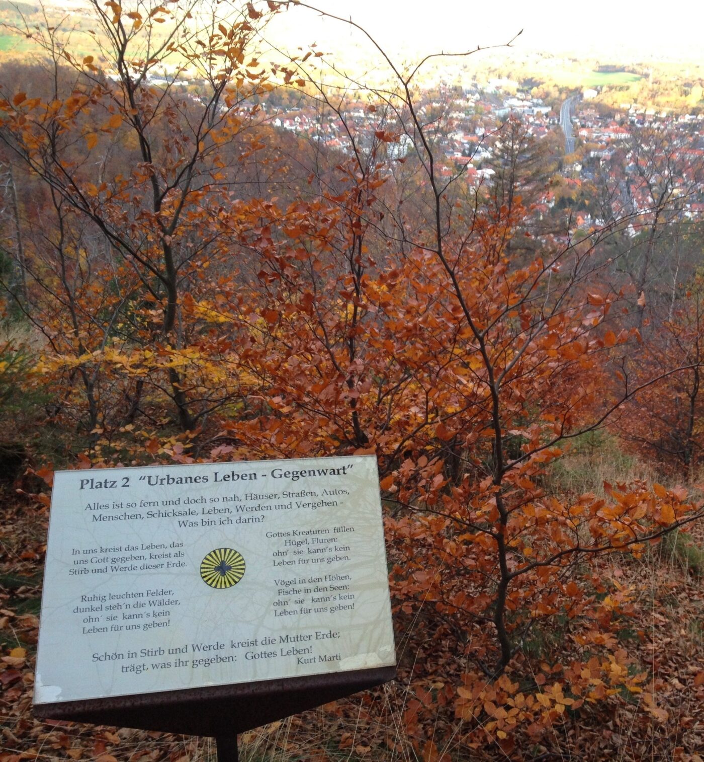 Blick auf Bad Harzburg – hundefreundliche Region rund um Ecki´s Hundefreilauf