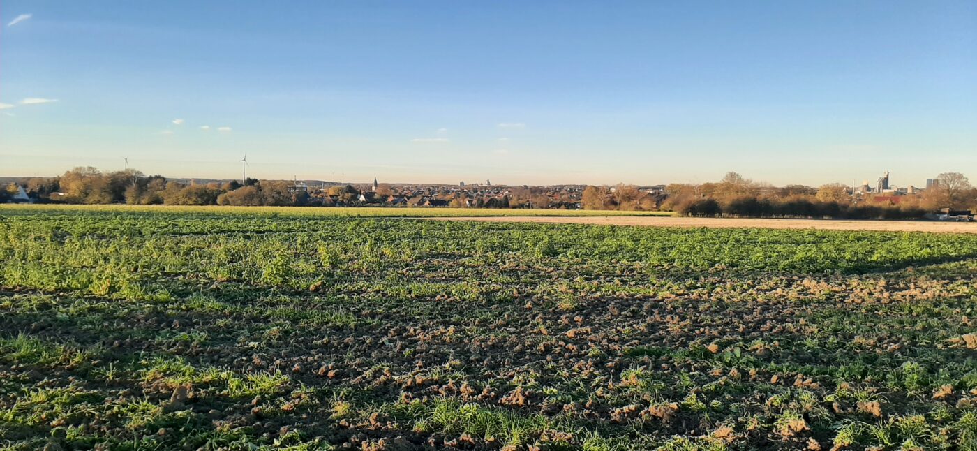 Blick auf Beckum – hundefreundliche Region rund um Hundeauslauffläche Phoenix