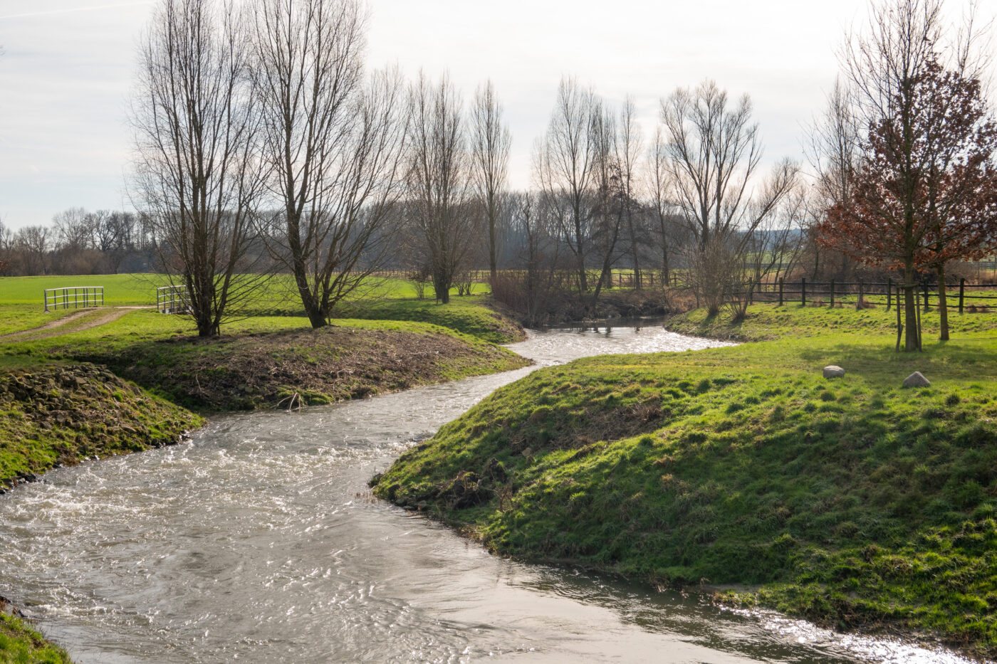 Blick auf Bad Salzuflen – hundefreundliche Region rund um Partner Hund