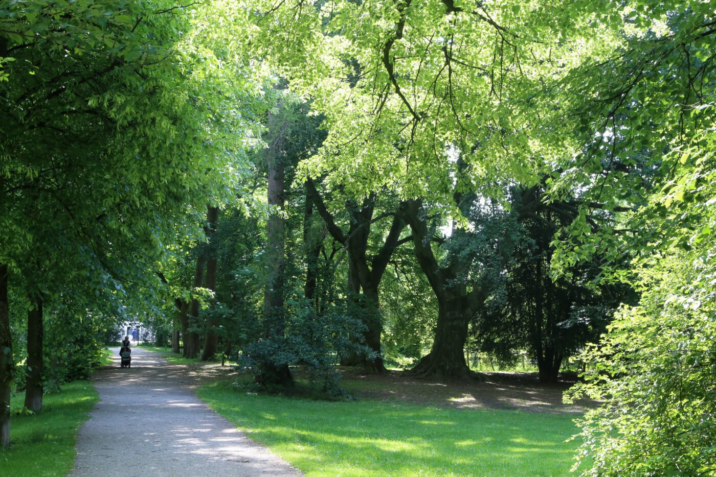 Behrpark – Hundeort für Hunde