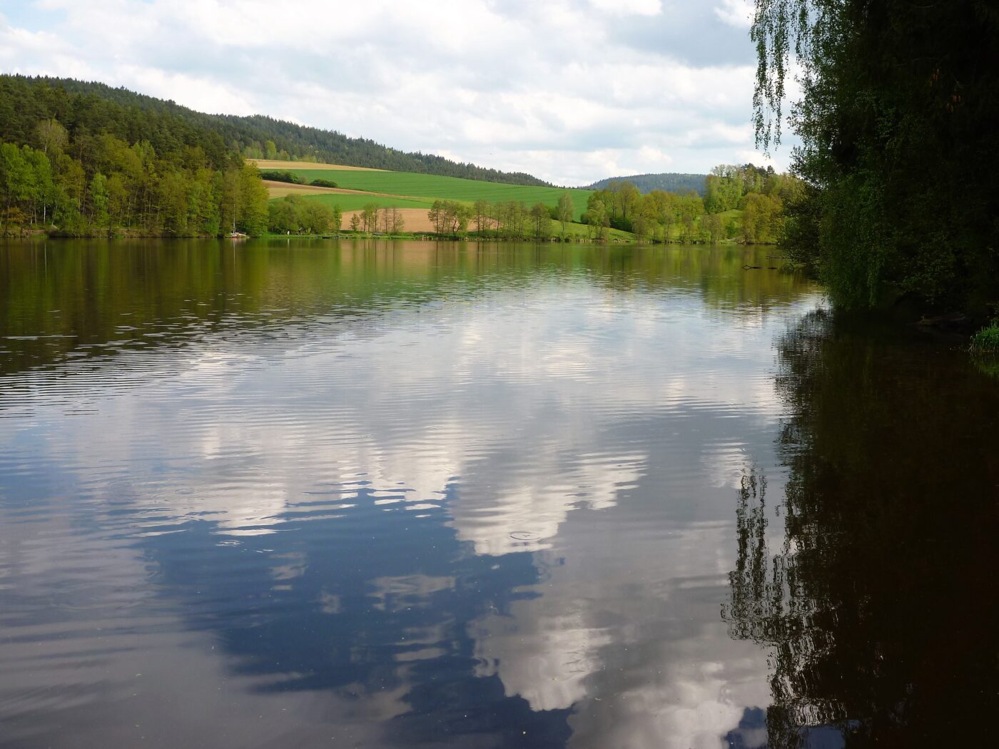 Blick auf Blaibach – hundefreundliche Region rund um Kanu & Camping aqua hema