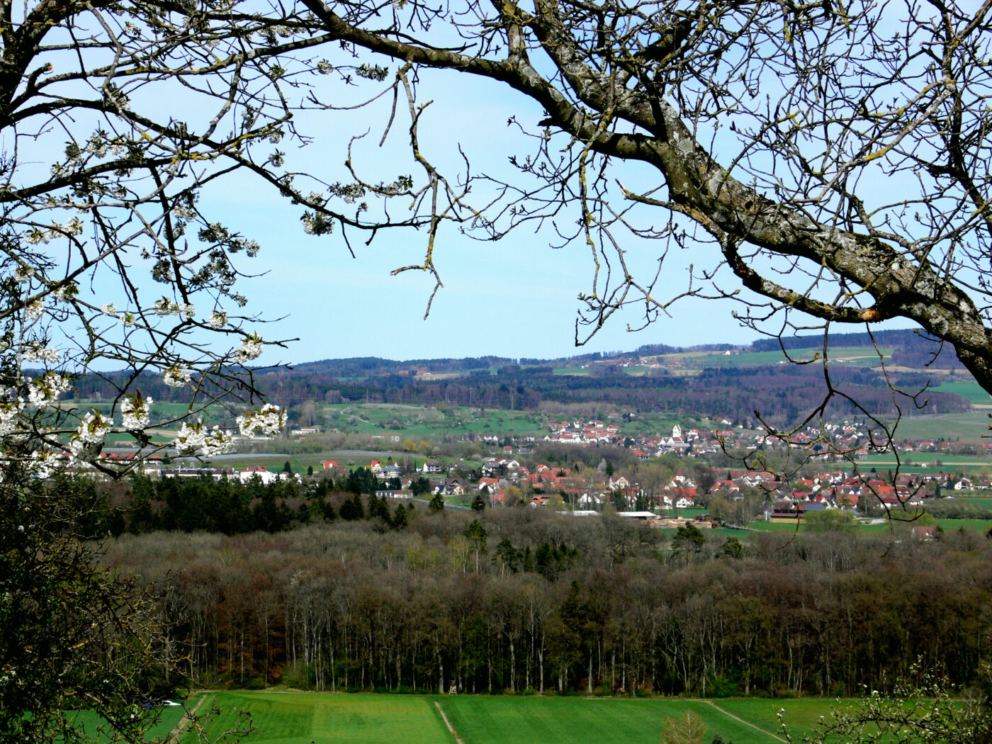 Blick auf Bermatingen – hundefreundliche Region rund um Hundesportverein