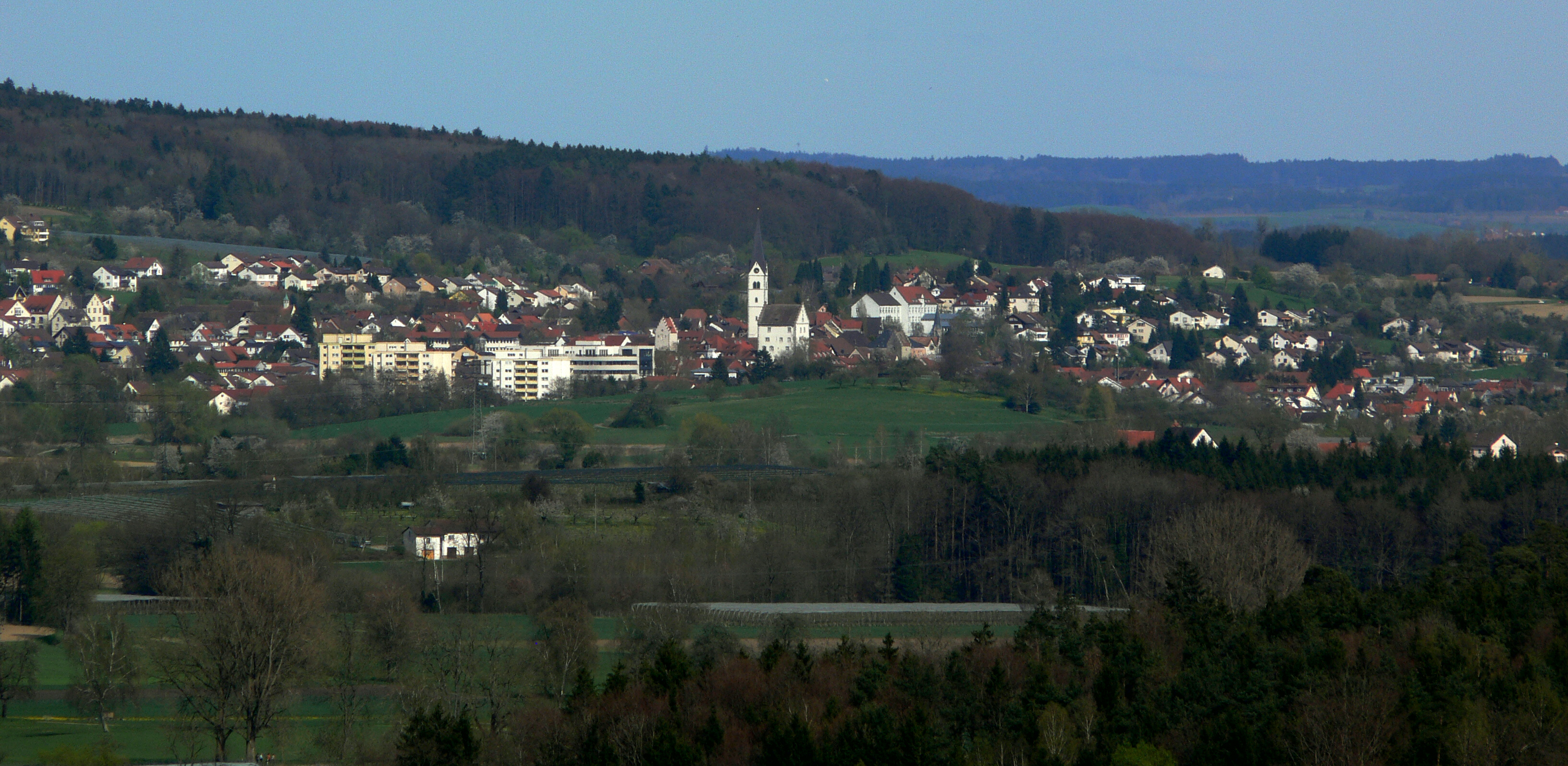 Blick auf Markdorf – hundefreundliche Region rund um Camping Wirthshof