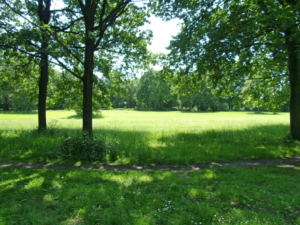 Bornpark in Hamburg – Hundeort für Hunde