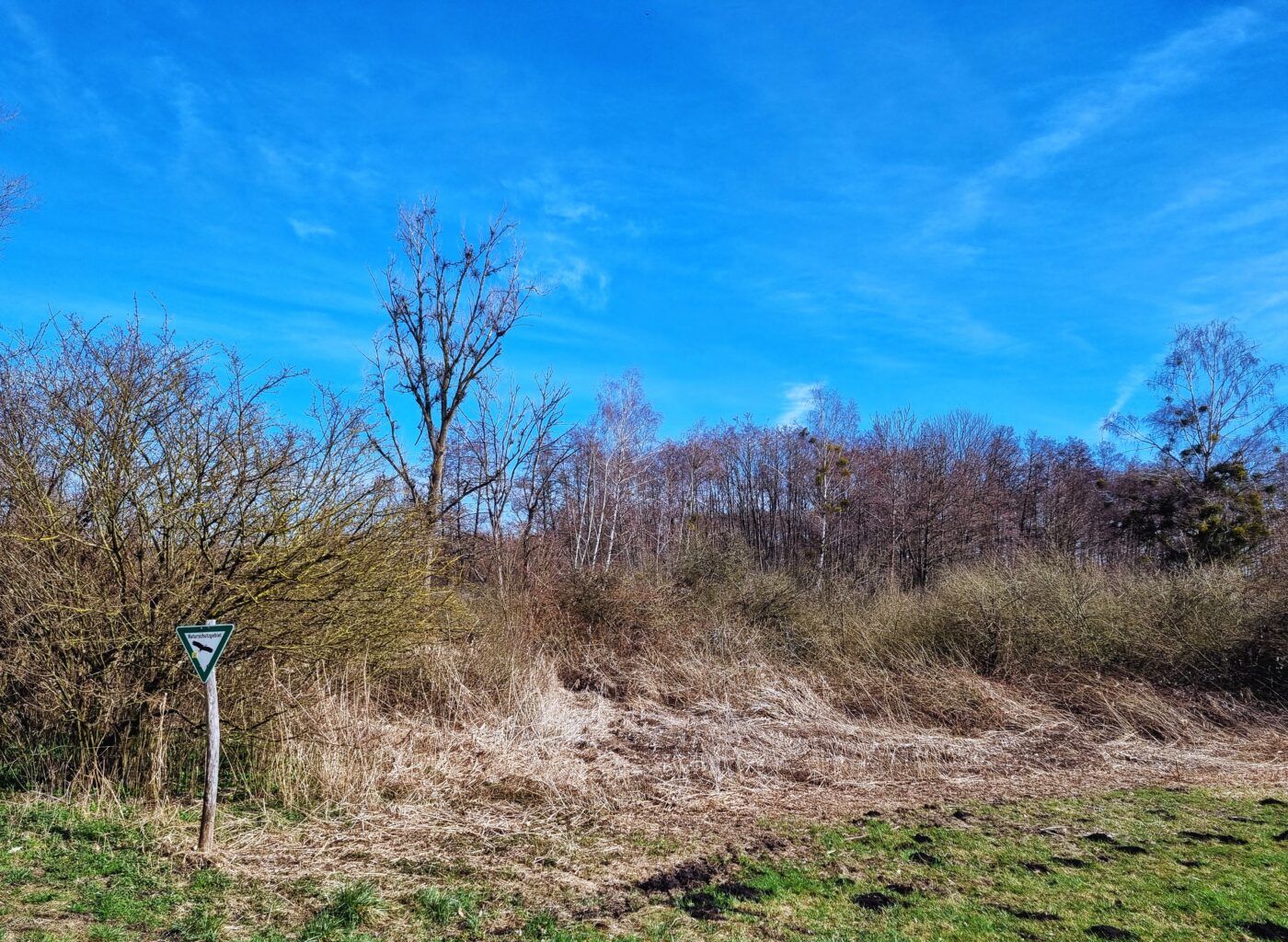 Blick auf Bodman-Ludwigshafen – hundefreundliche Region rund um Hafenmauer 1826
