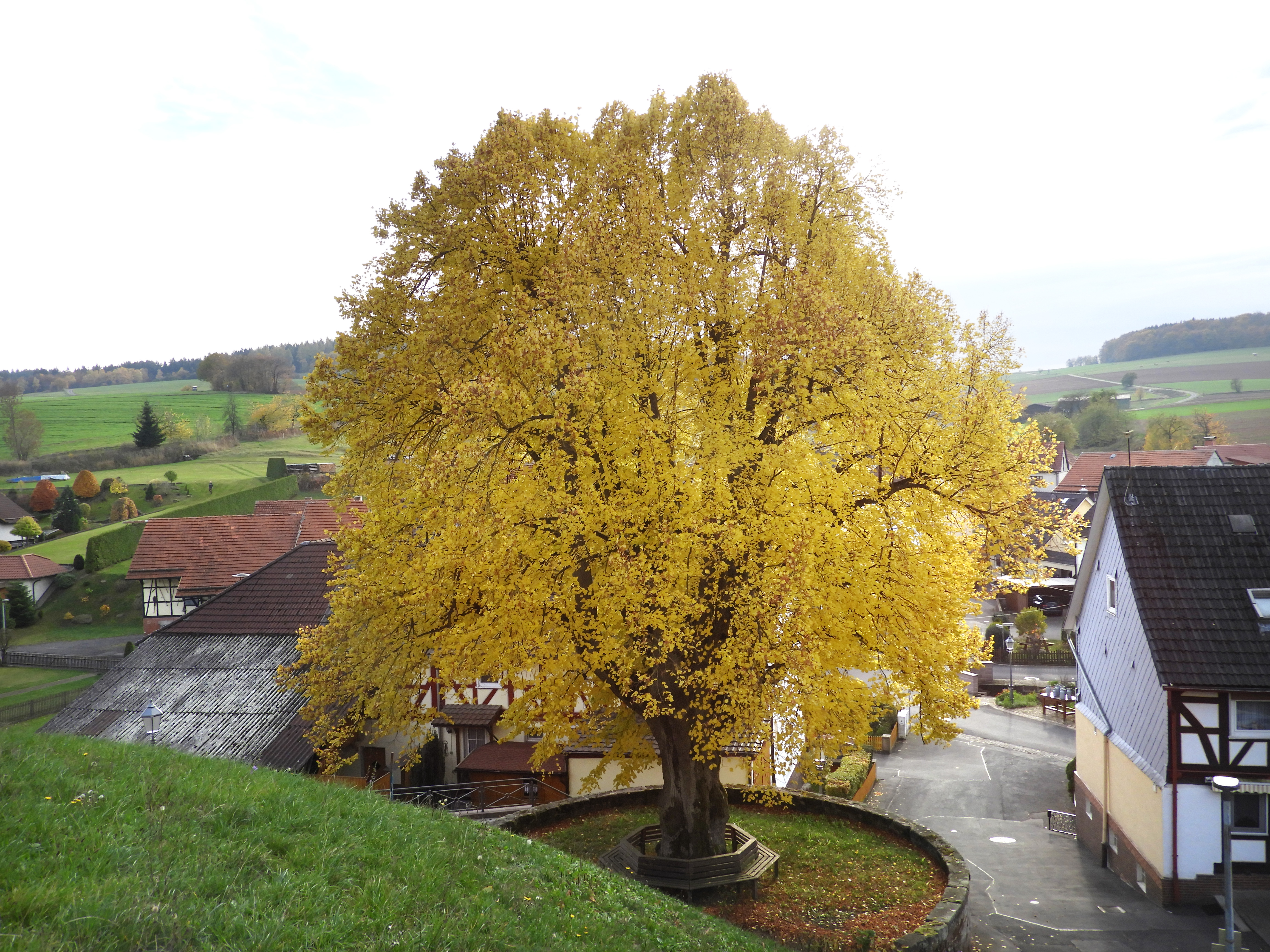 Blick auf Lichtenau – hundefreundliche Region rund um Hotel & Pension Haus Dewenter