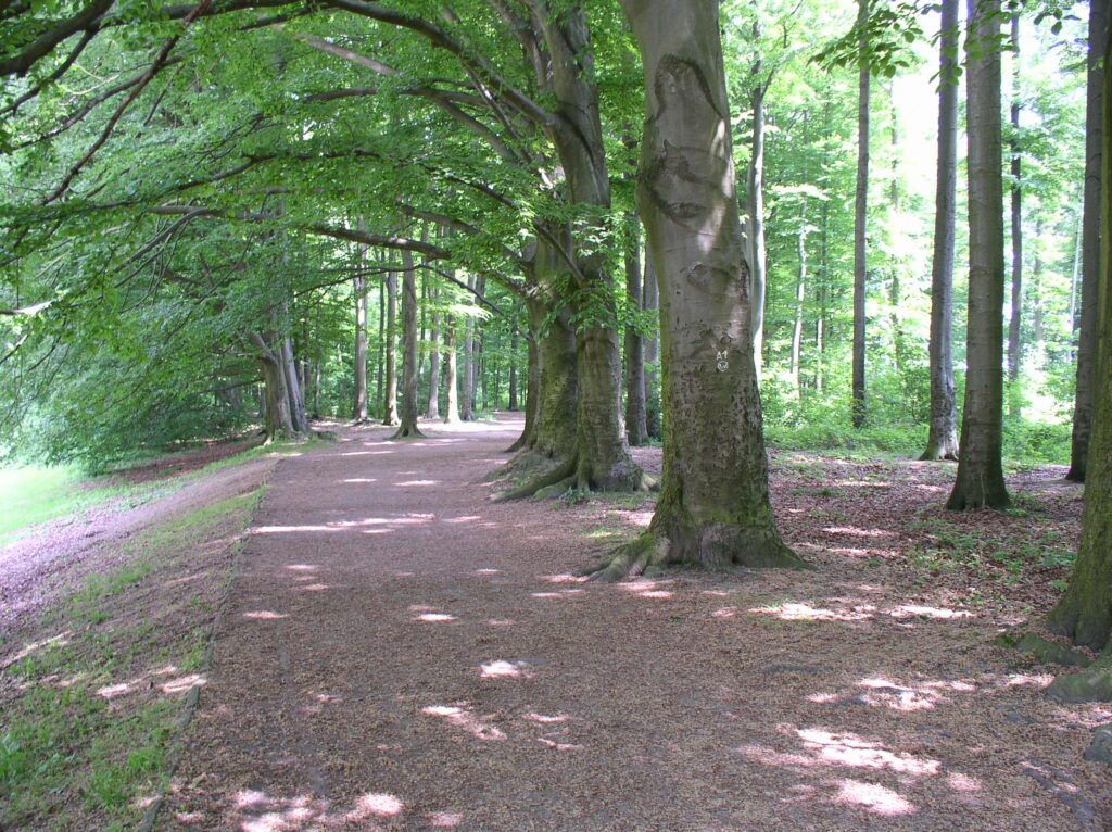 Dorneywald in Dortmund – Hundeort für Hunde