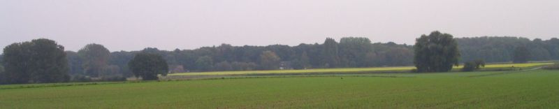 KURLER BUSCH in Dortmund – Hundeort für Hunde