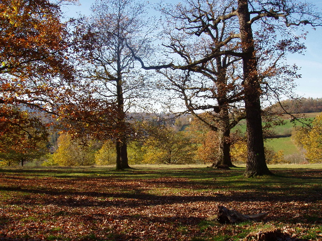 Eichenhain in Stuttgart – Hundeort für Hunde