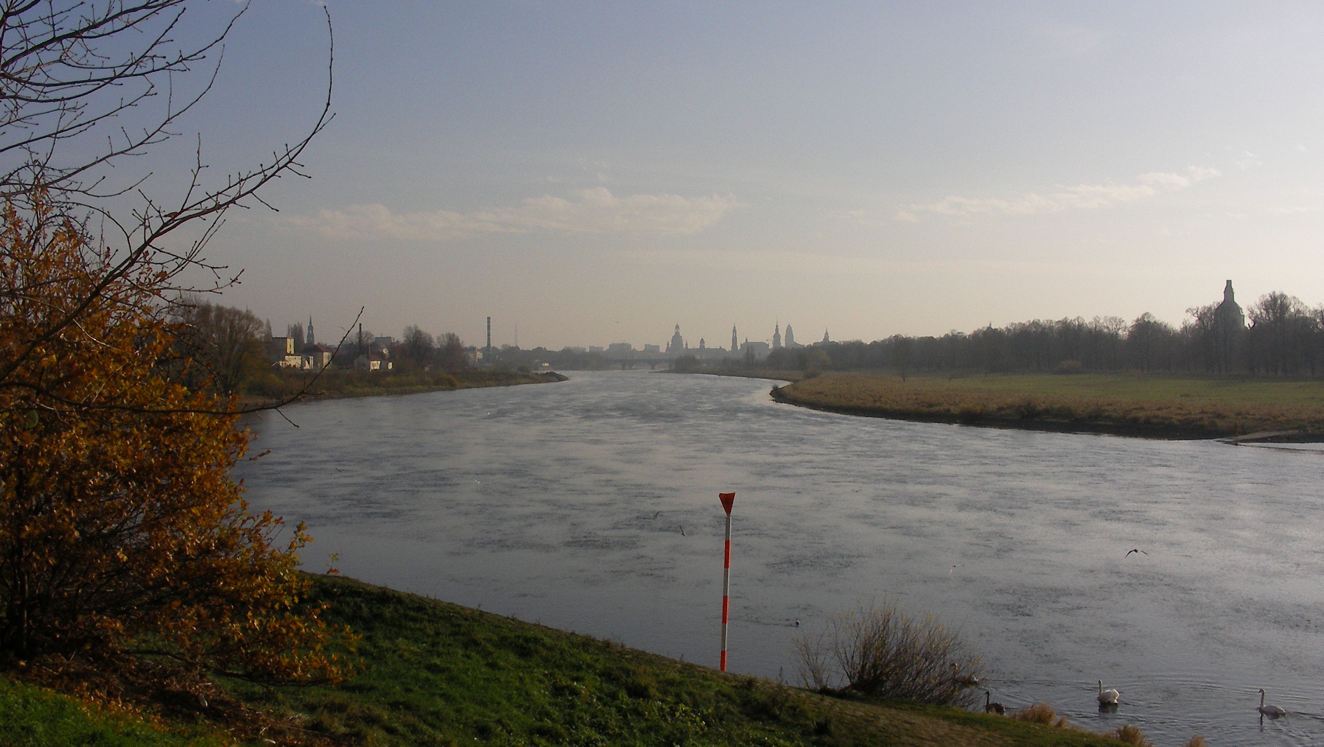 Ostragehege in Dresden – Hundeort für Hunde