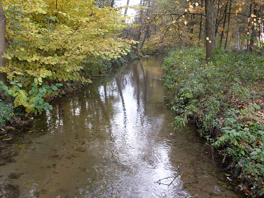 The Furlbach near Espeln – Am Furlbach, Bielefeld
