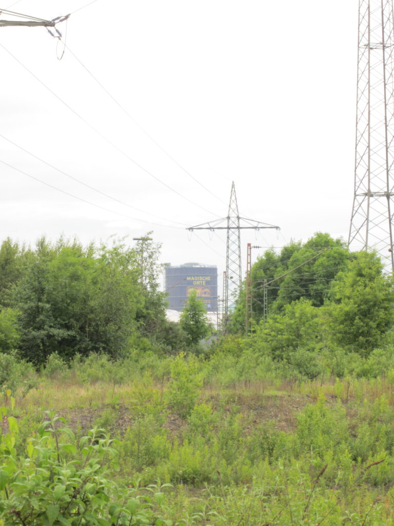 Gleispark in Oberhausen – Hundeort für Hunde