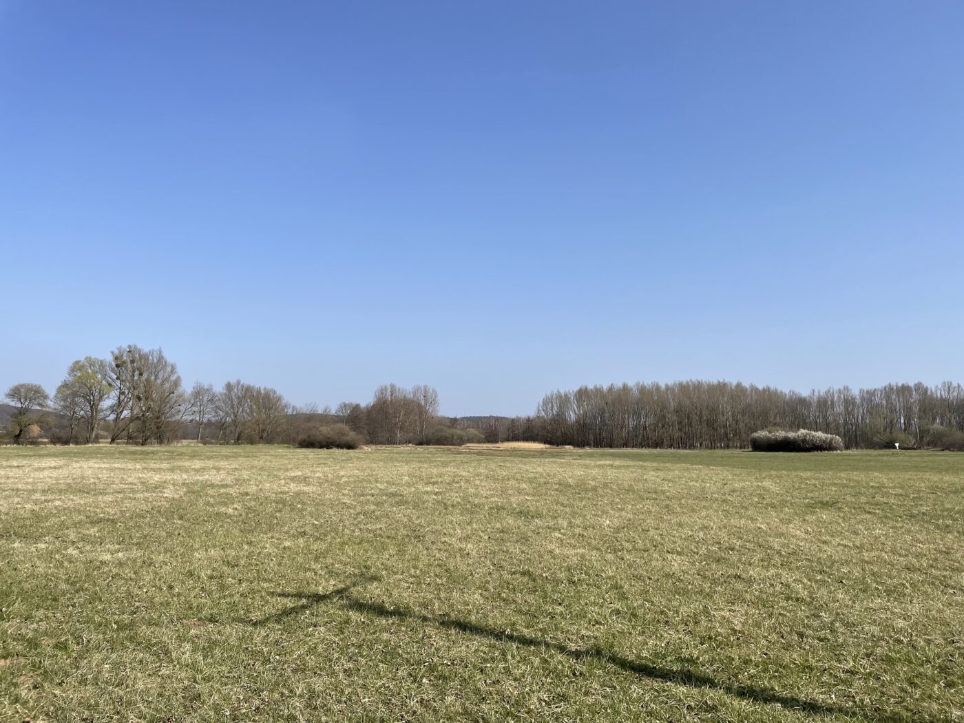 Blick auf Euskirchen – hundefreundliche Region rund um Hundetagesstätte Euskirchen
