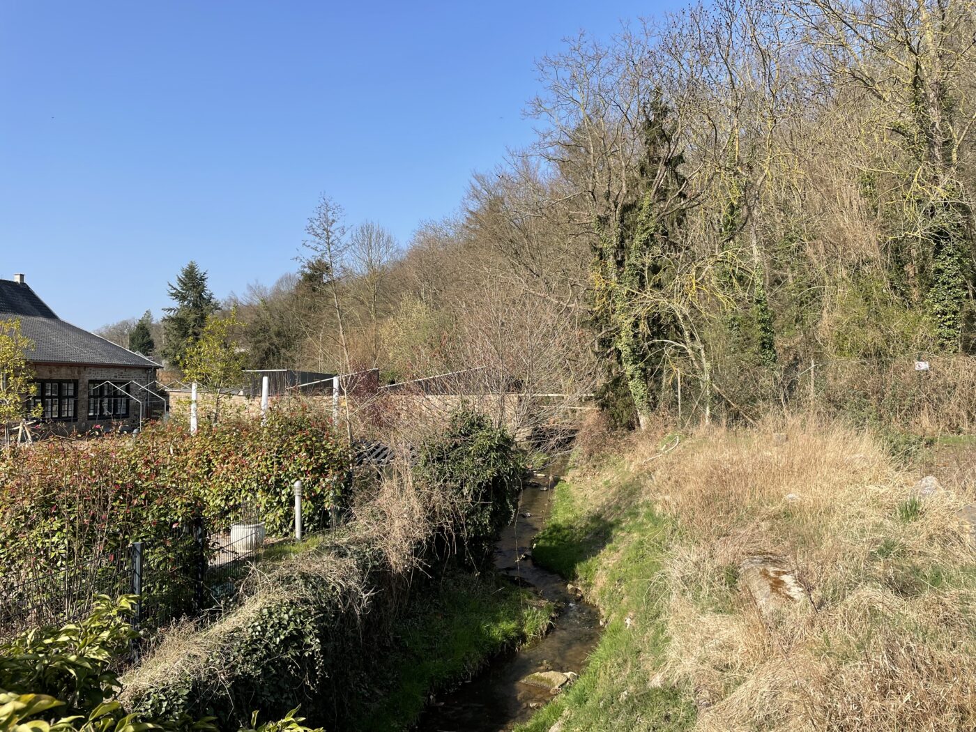 Blick auf Euskirchen – hundefreundliche Region rund um Nestlé Agility Park