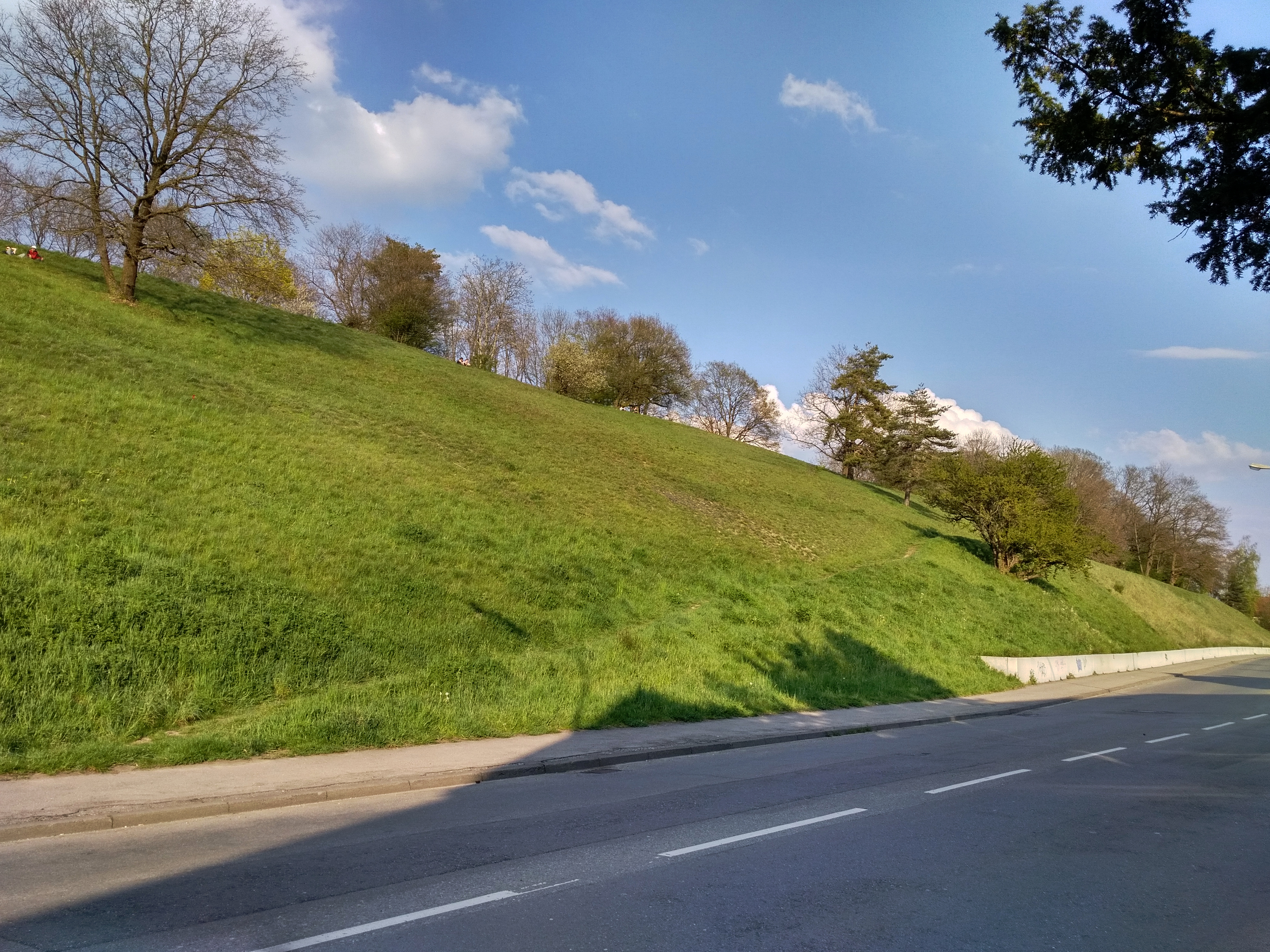 Bodanrück – Hundeort für Hunde