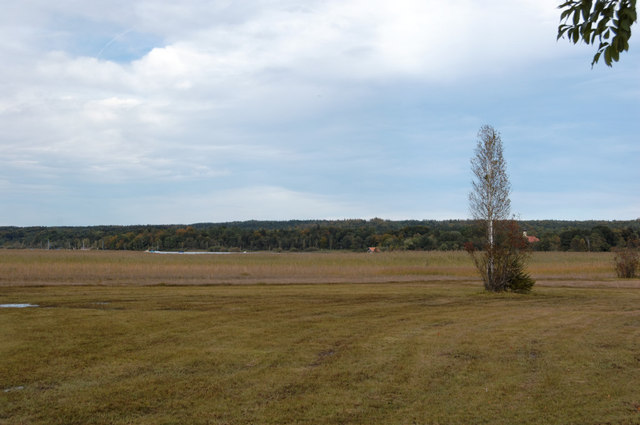 Feuchtwiese bei Seeshaupt – Campingplatz Seeshaupt