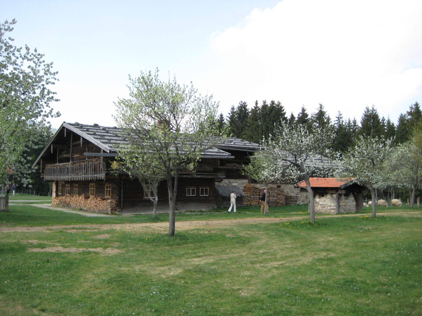 Freilichtmuseum Finsterau – Hundeort für Hunde