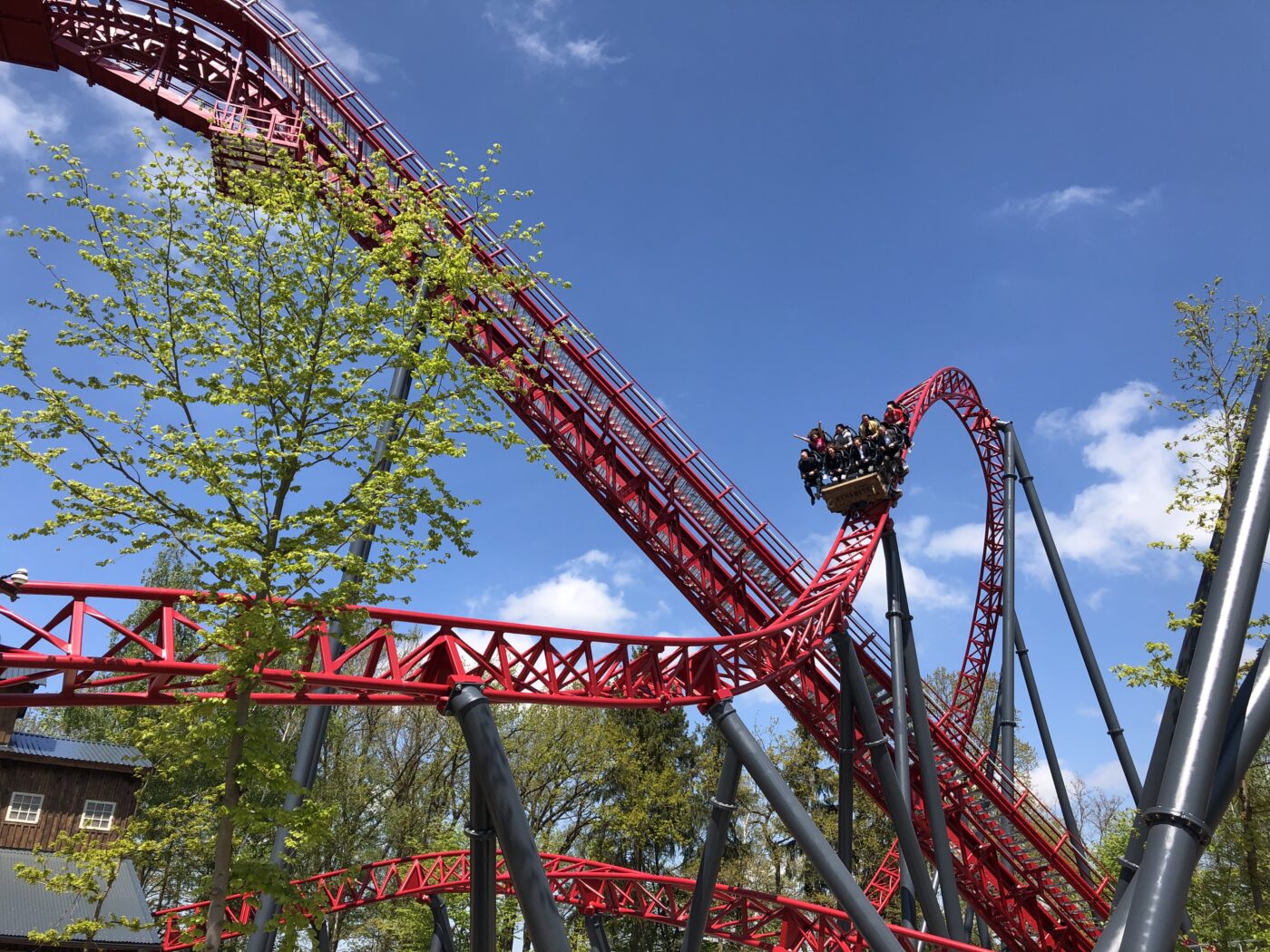 Freizeitpark Plohn – Hundeort für Hunde