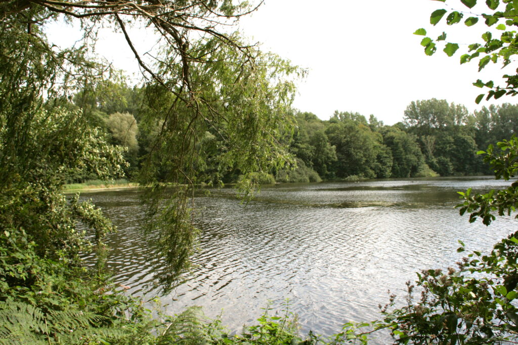 Ewaldsee in Gelsenkirchen – Hundeort für Hunde