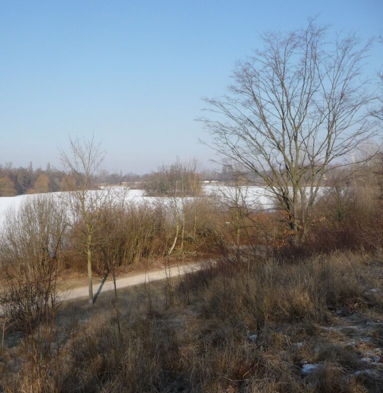 Große Blies im Winter – Hundewiese an der Blies, Mannheim
