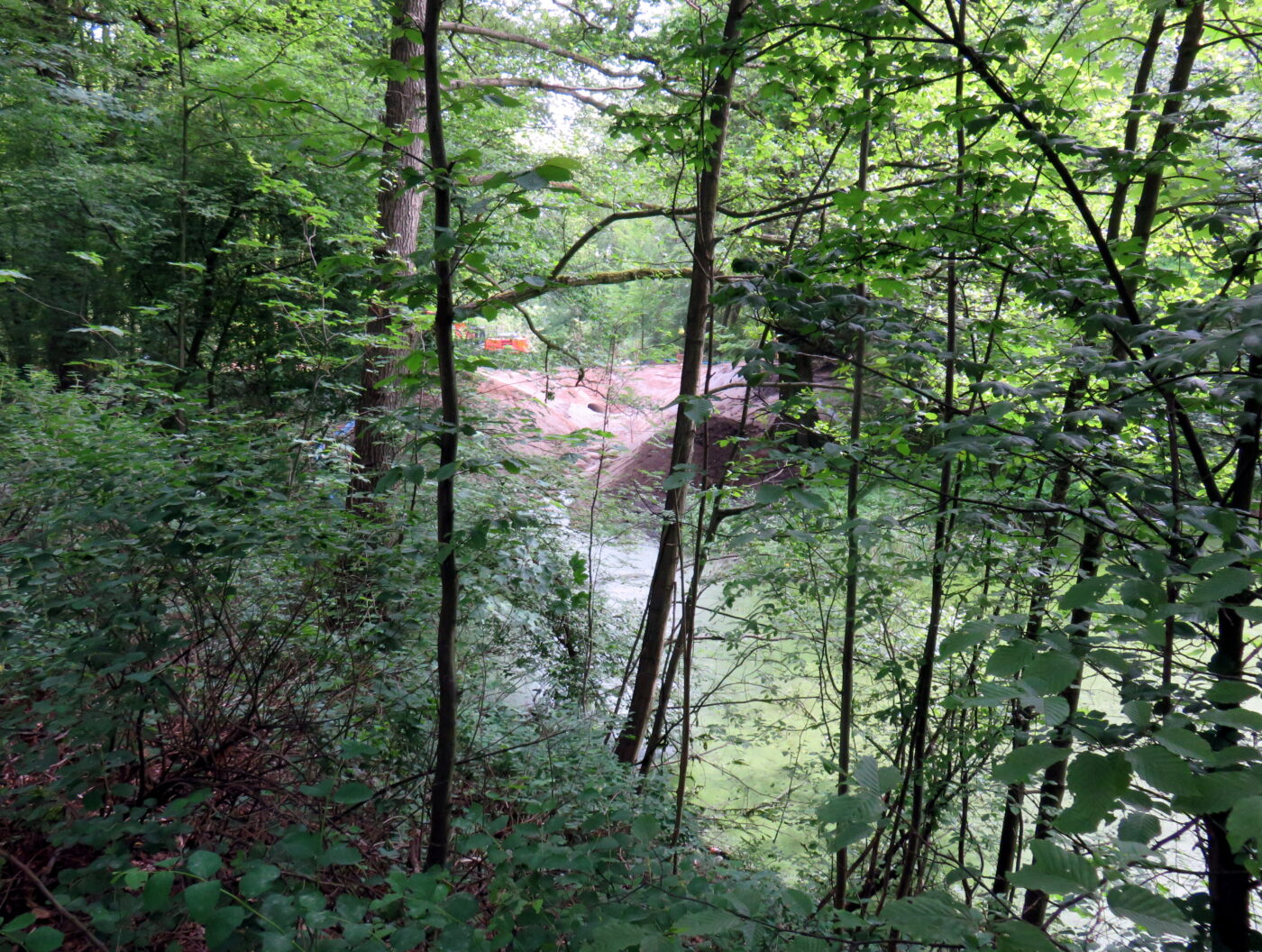 Katthorstpark in Hamburg – Hundeort für Hunde