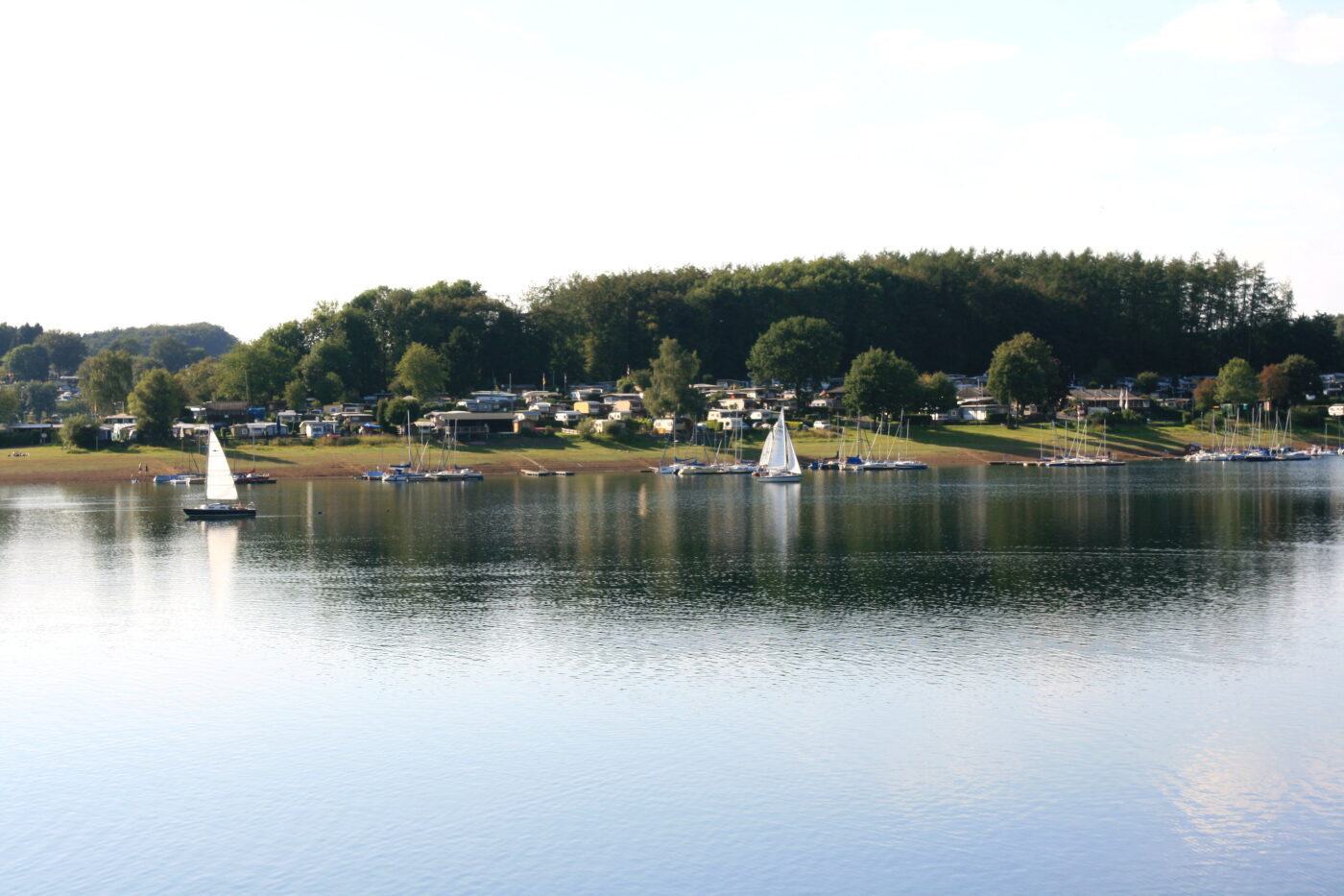Bever-Camping Käfernberg – Hundeort für Hunde