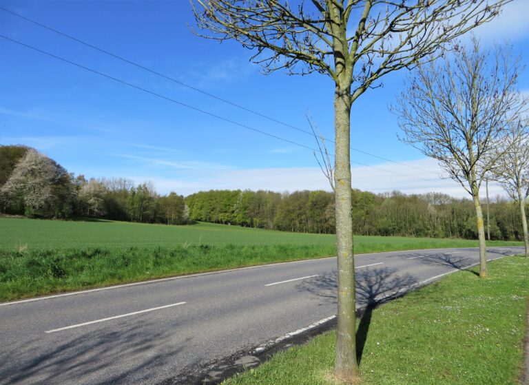 Fleyer Wald in Hagen – Hundeort für Hunde