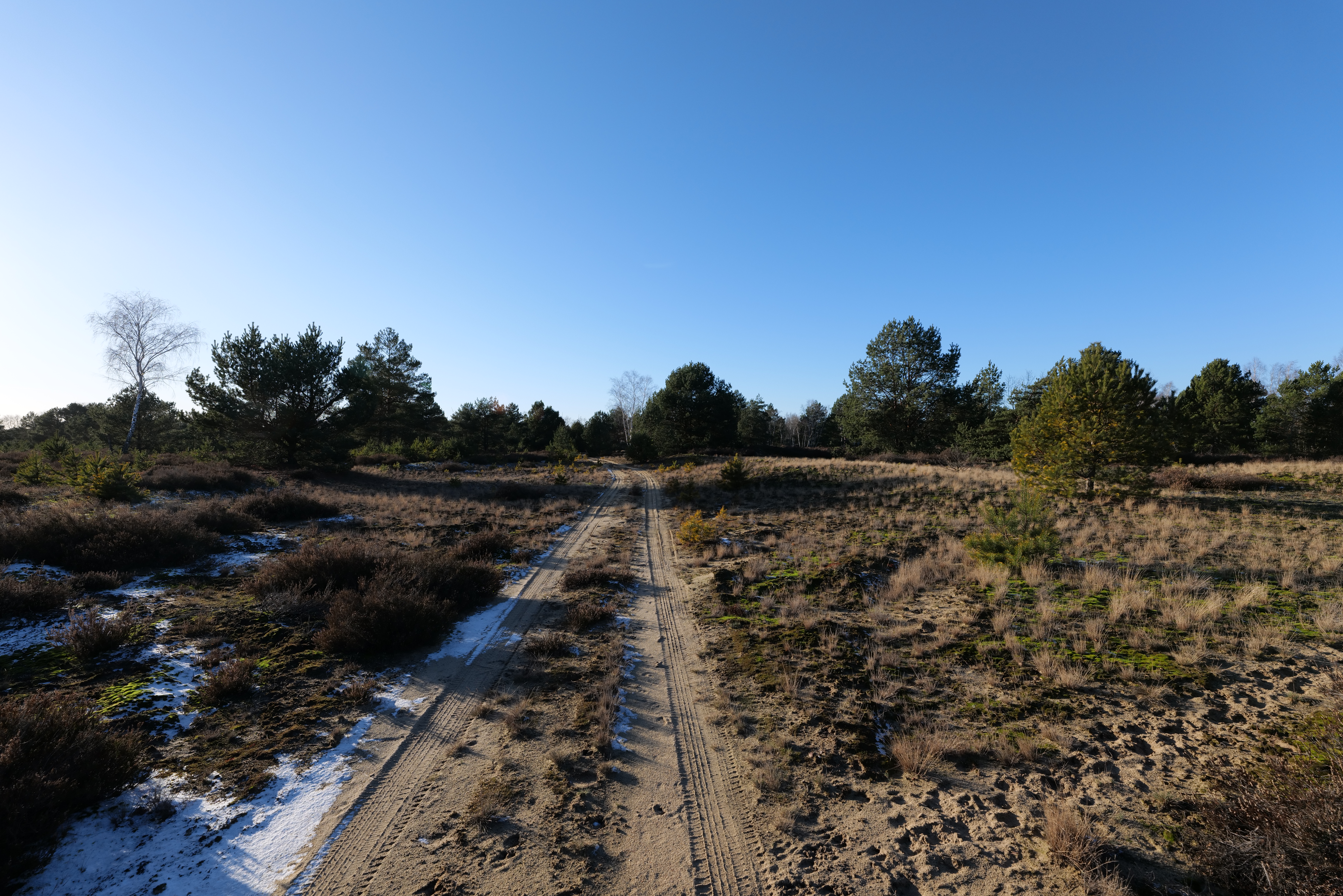 Heidehof – Hundeort für Hunde