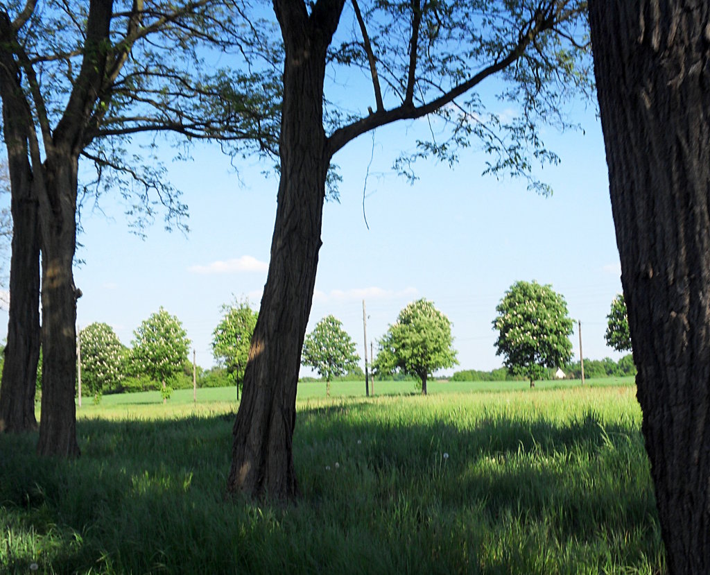 Hermsdorf - Grünberg – Hundeübungsplatz Grünberg