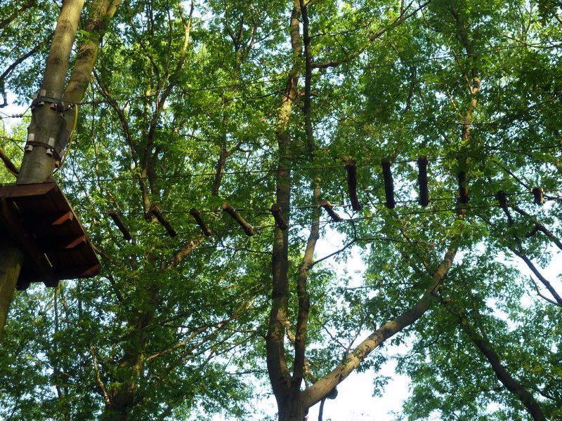 Hochseilgarten im Sportpark Wedau, Duisburg – Wald Wedau, Düsseldorf