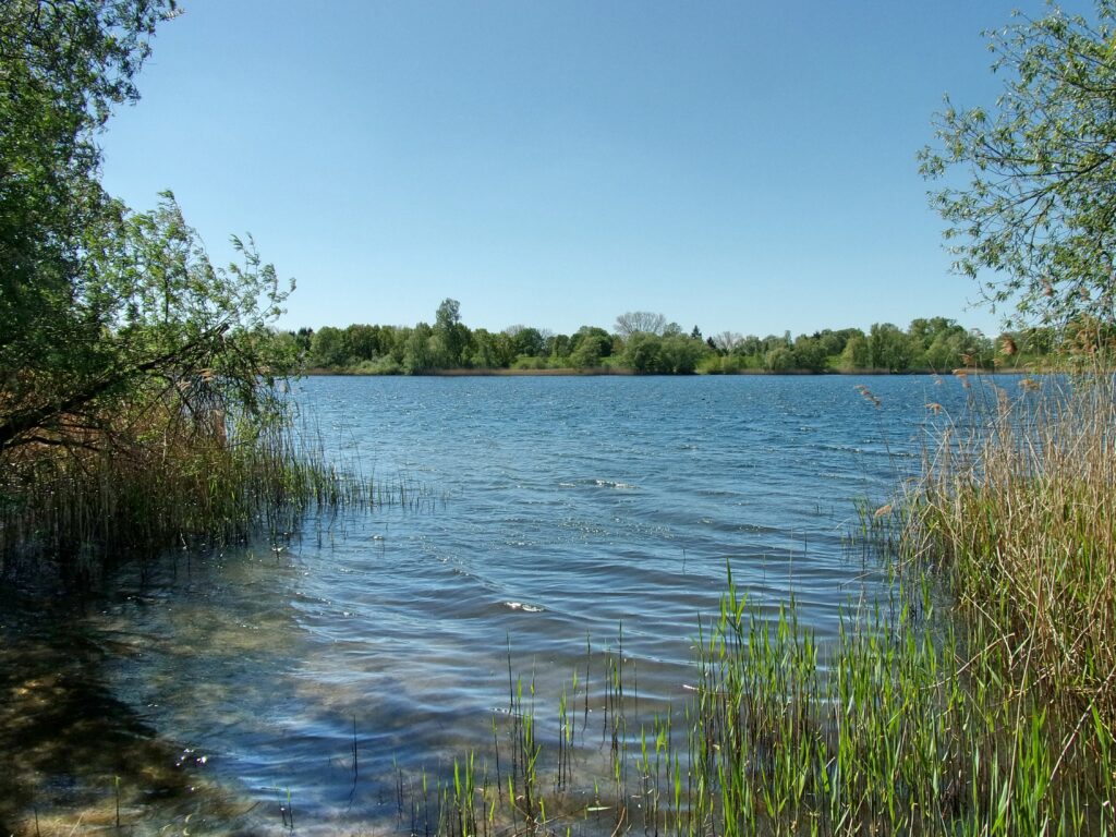Hohendeicher See in Hamburg – Hundeort für Hunde