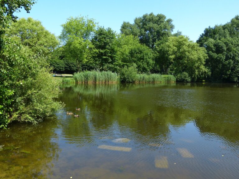 Horner Moor in Hamburg – Hundeort für Hunde