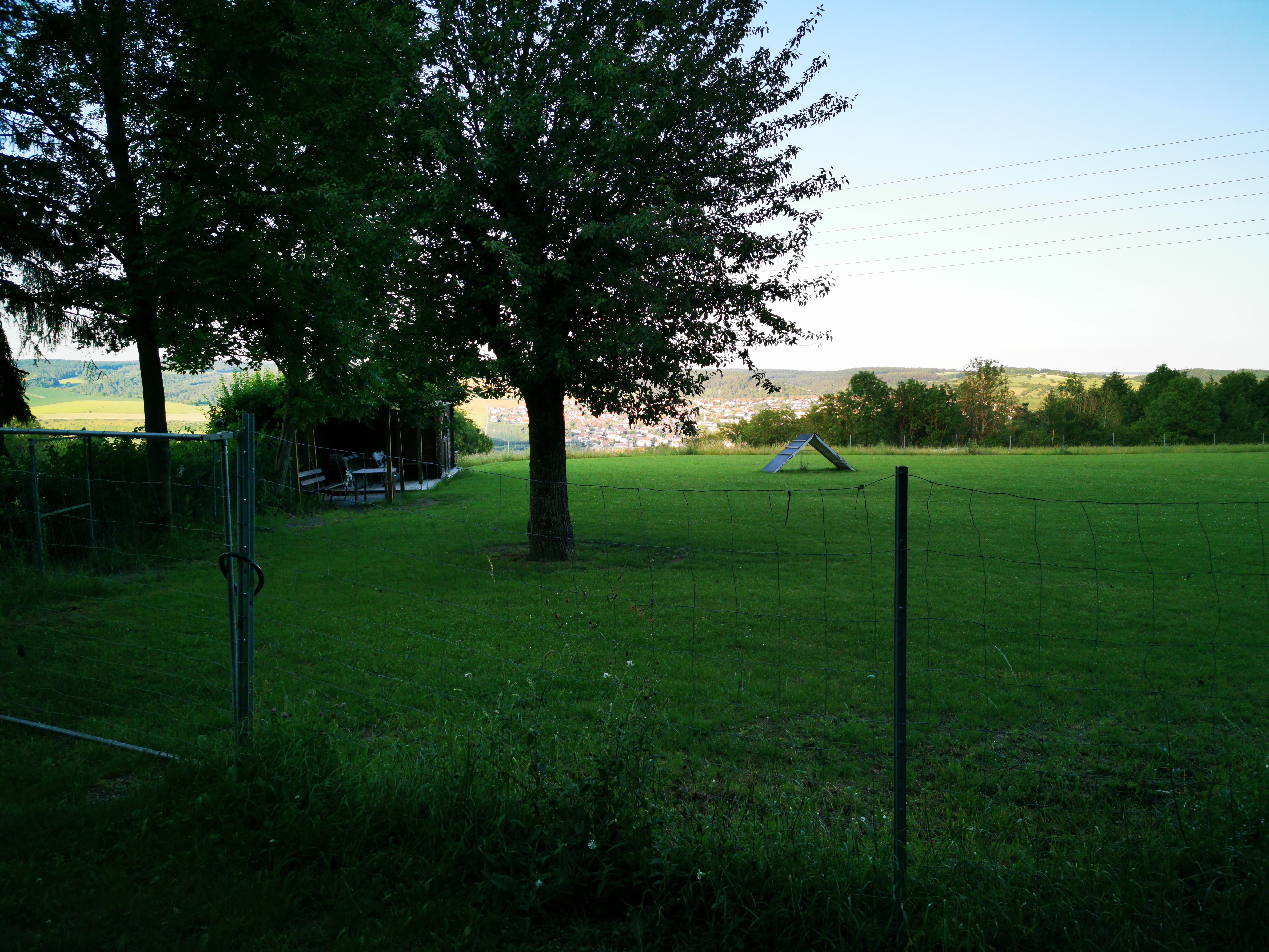 Hundeübungsplatz – Hundeort für Hunde