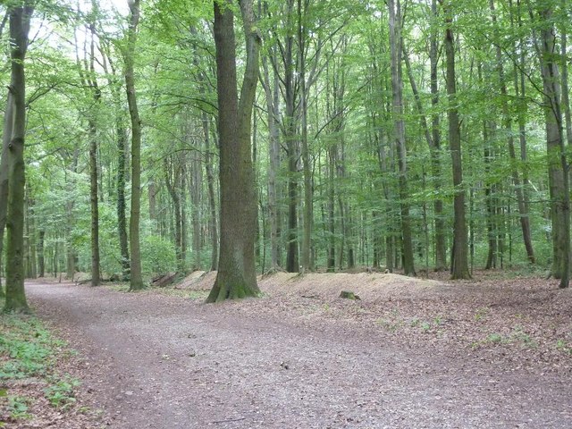 Im Krefelder Forstwald am Landwehrwall – Forstwald, Düsseldorf