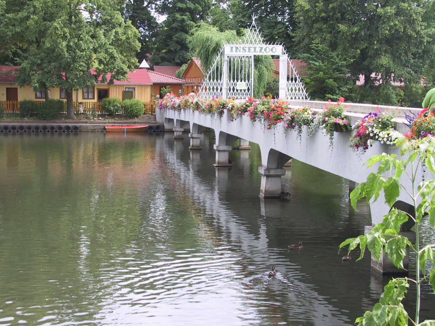 Inselzoo Altenburg – Hundeort für Hunde