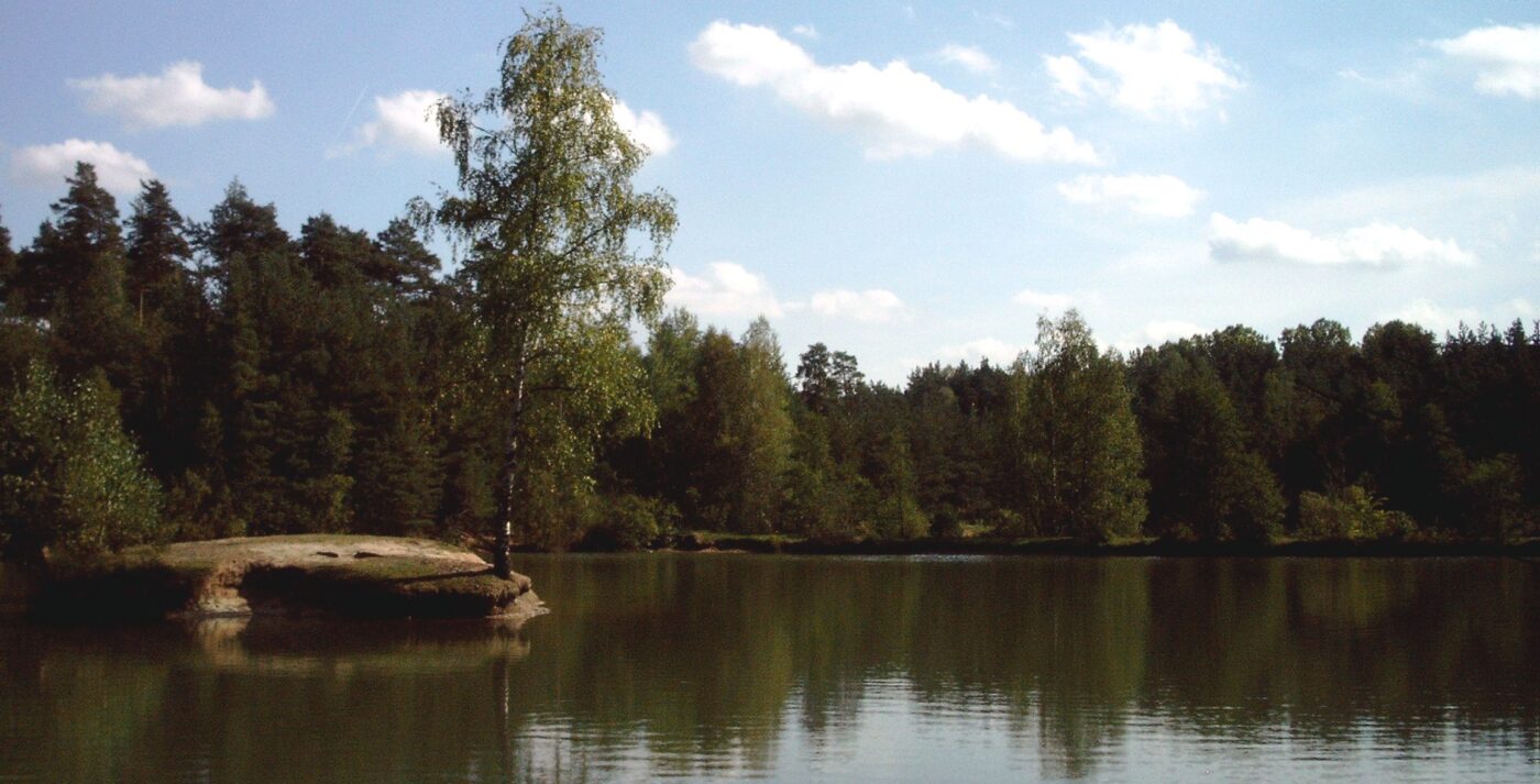 Jägersee in Nürnberg – Hundeort für Hunde