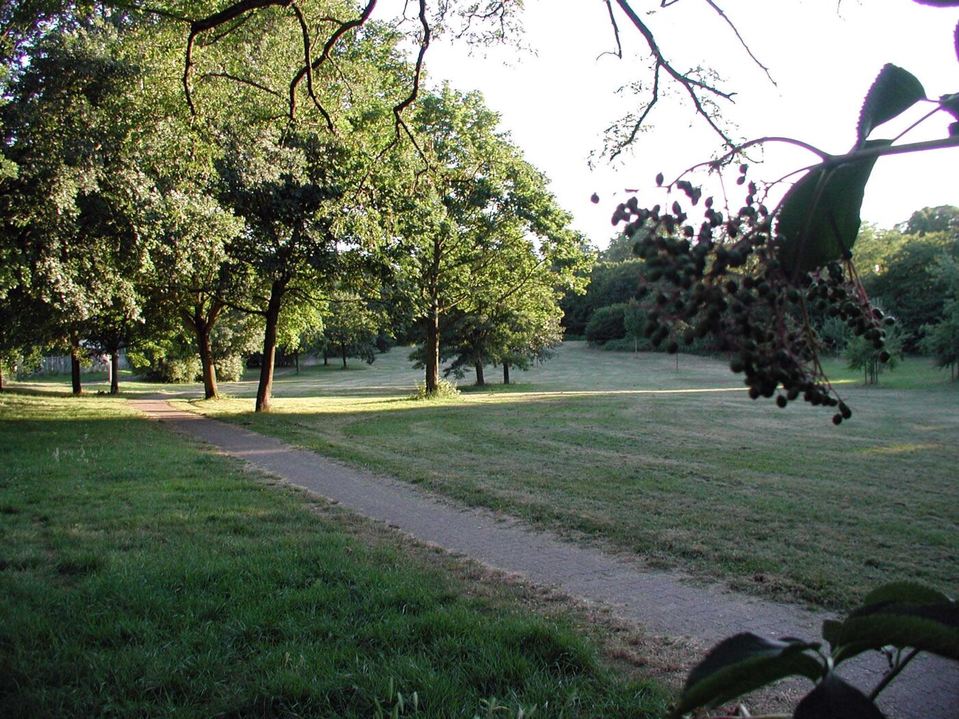 Vorgebirgspark in Köln – Hundeort für Hunde
