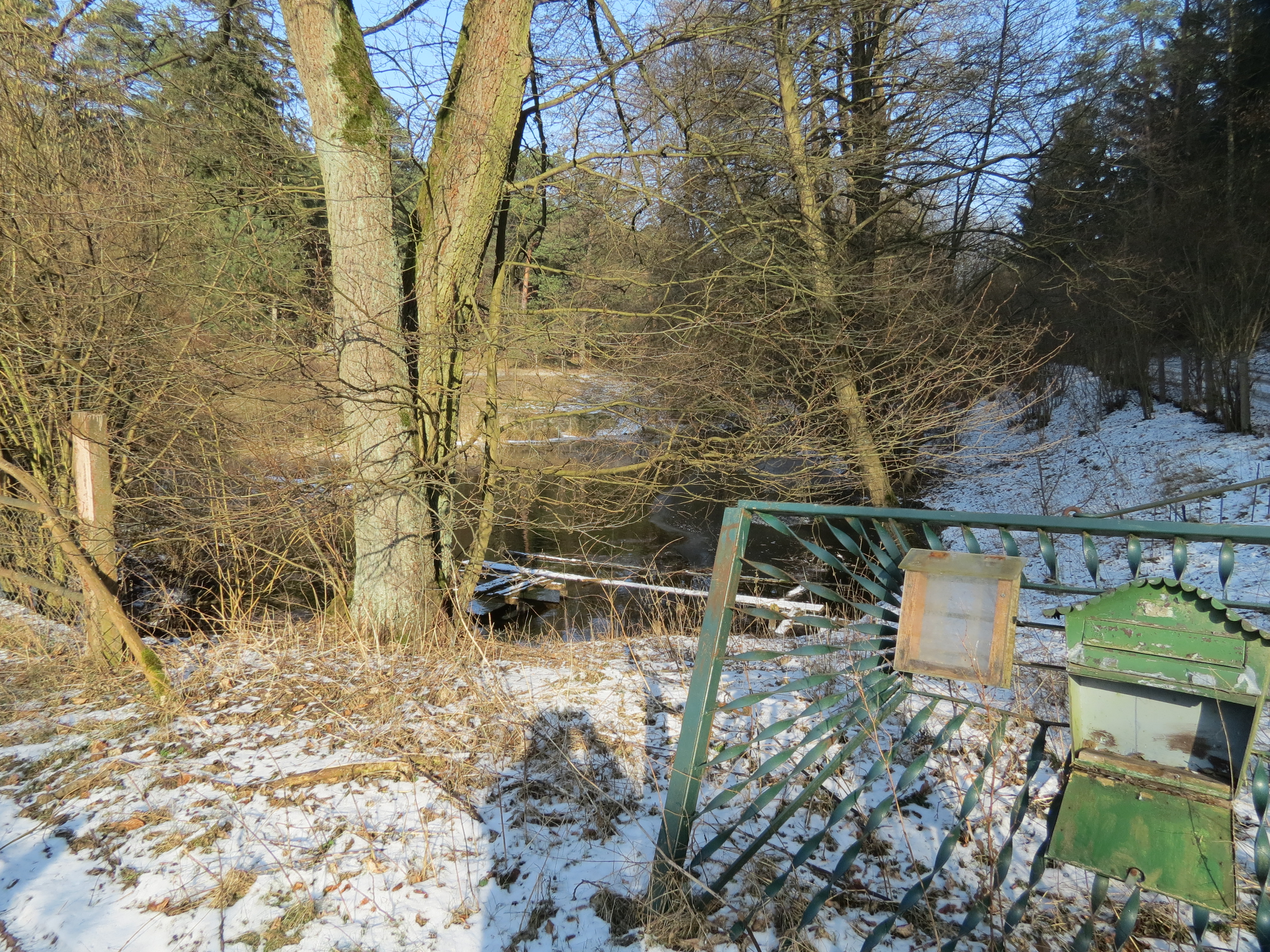 Blick auf Rheinsberg – hundefreundliche Region rund um Camping am Reiherholz