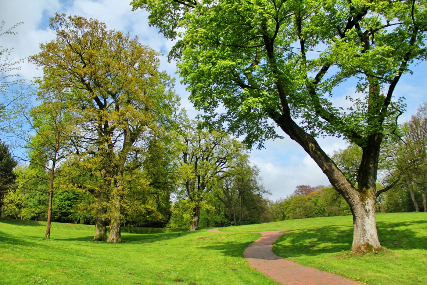 Knoops Park in Bremen – Hundeort für Hunde