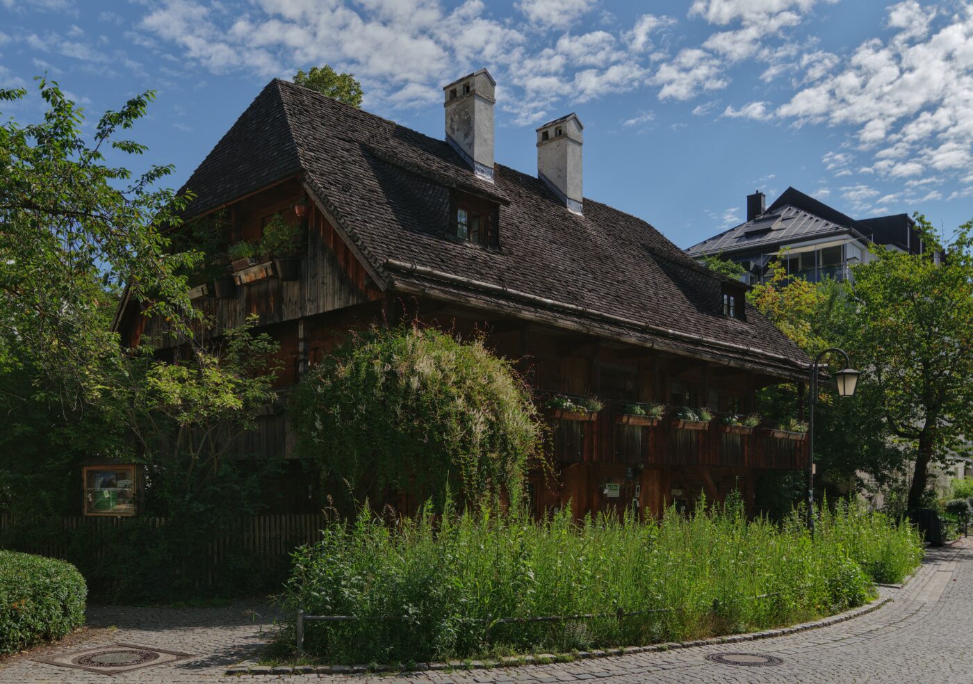 Blick auf München – hundefreundliche Region rund um Altes Wehr