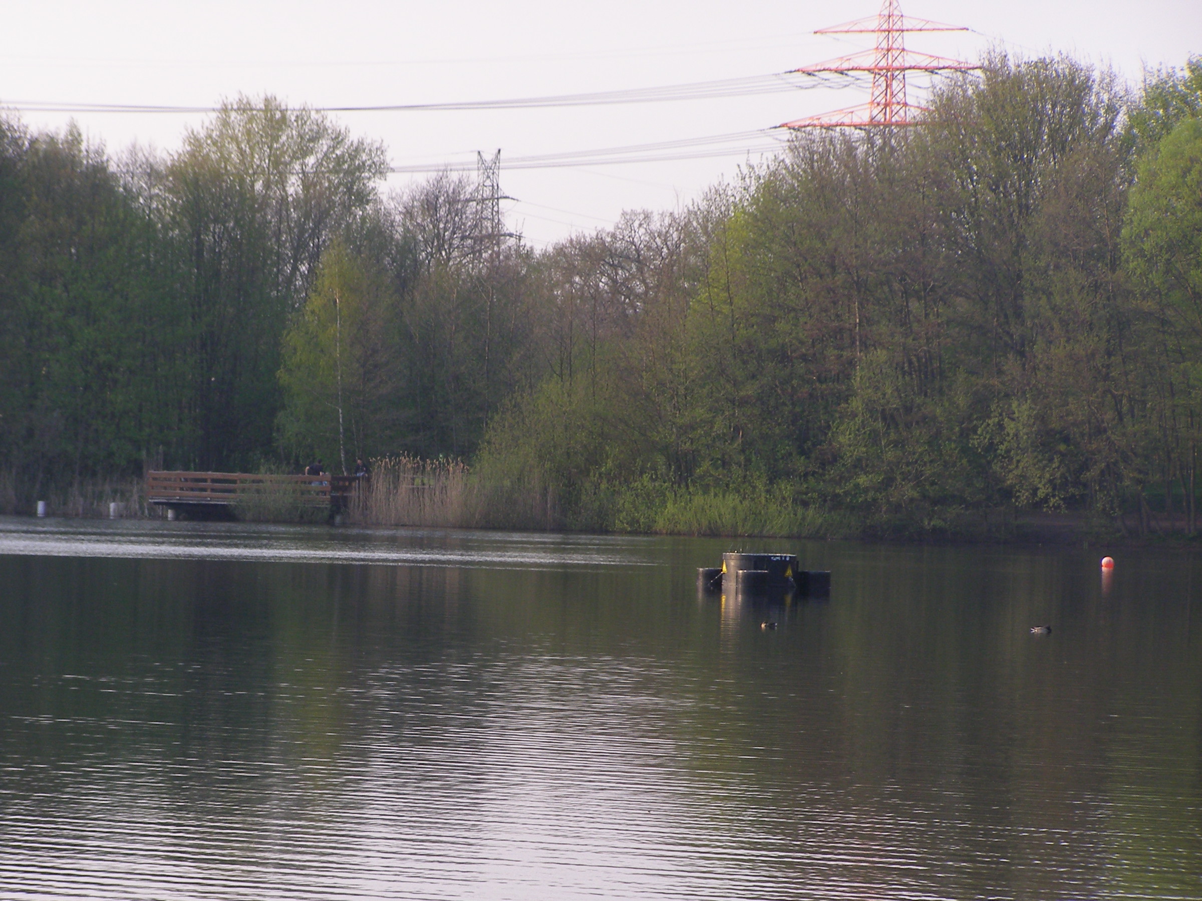 Krupunder See in Hamburg – Hundeort für Hunde