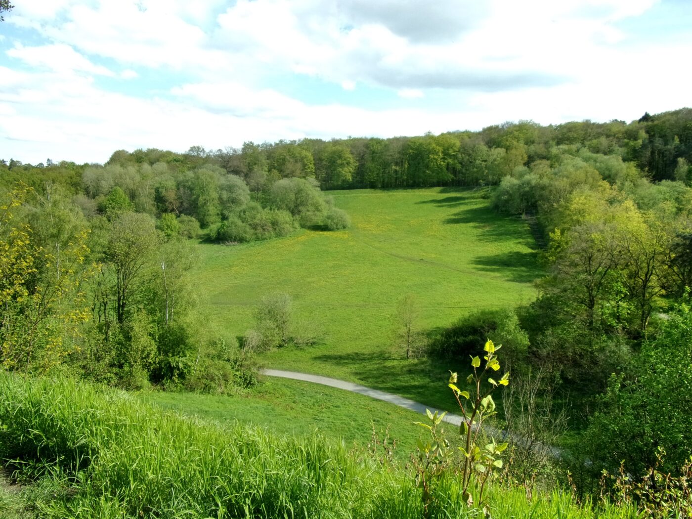 Waldpark Marienhöhe Süd in Hamburg – Hundeort für Hunde