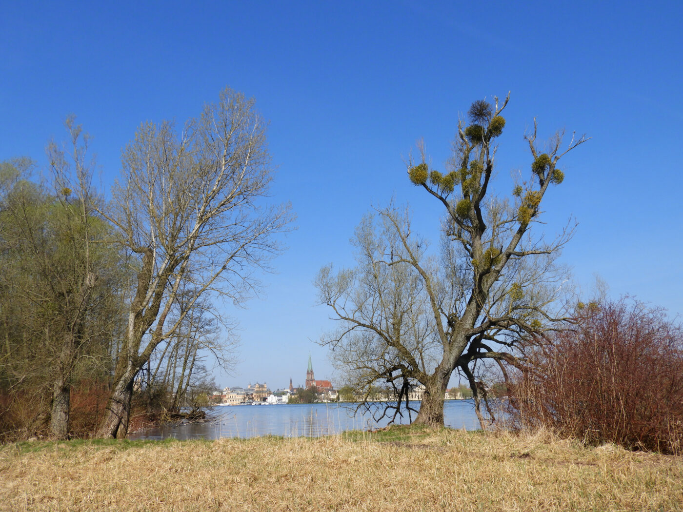 Blick auf Schwerin – hundefreundliche Region rund um Schweriner Hundetreff