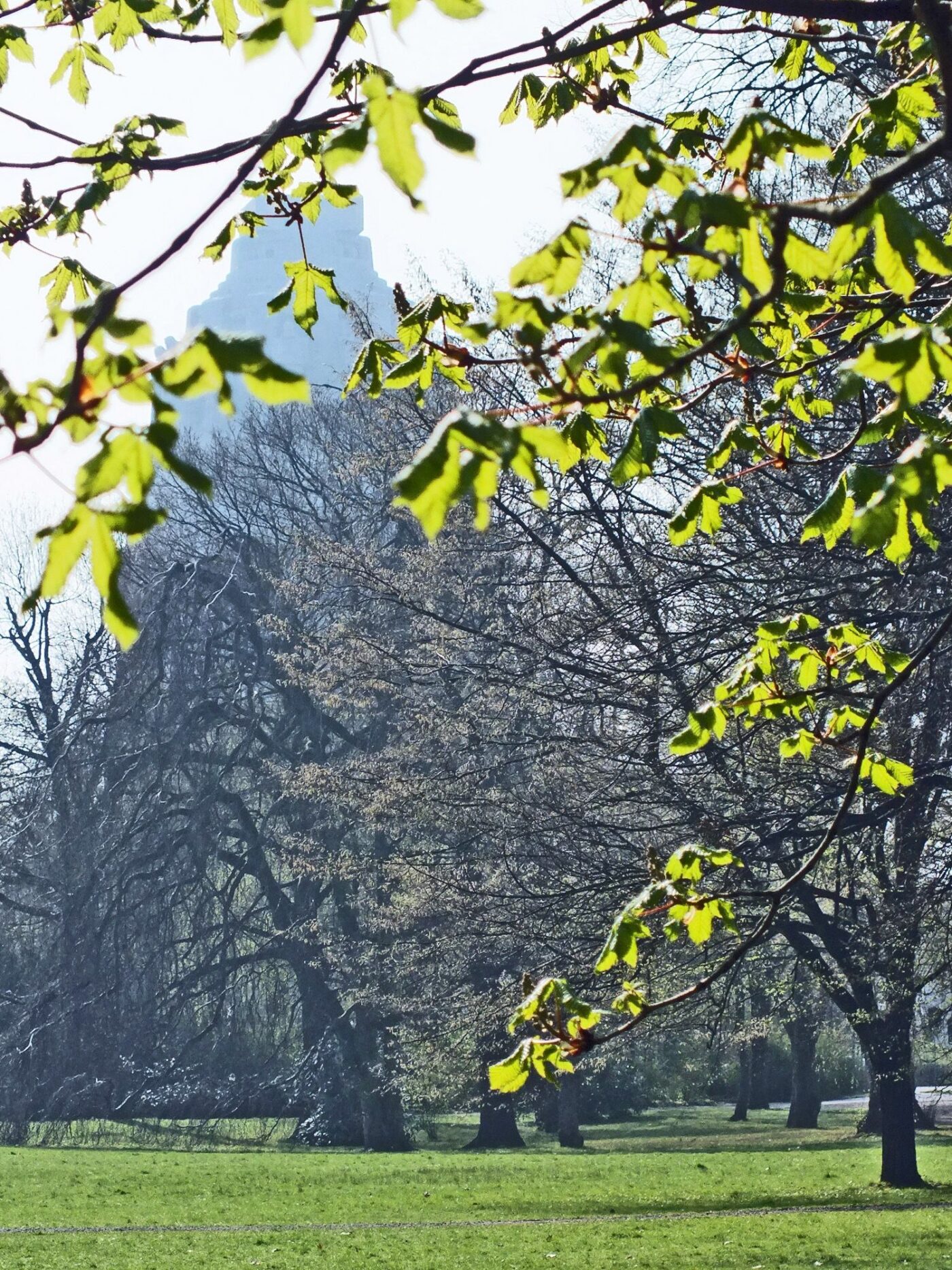 Wilhelm-Külz-Park in Leipzig – Hundeort für Hunde