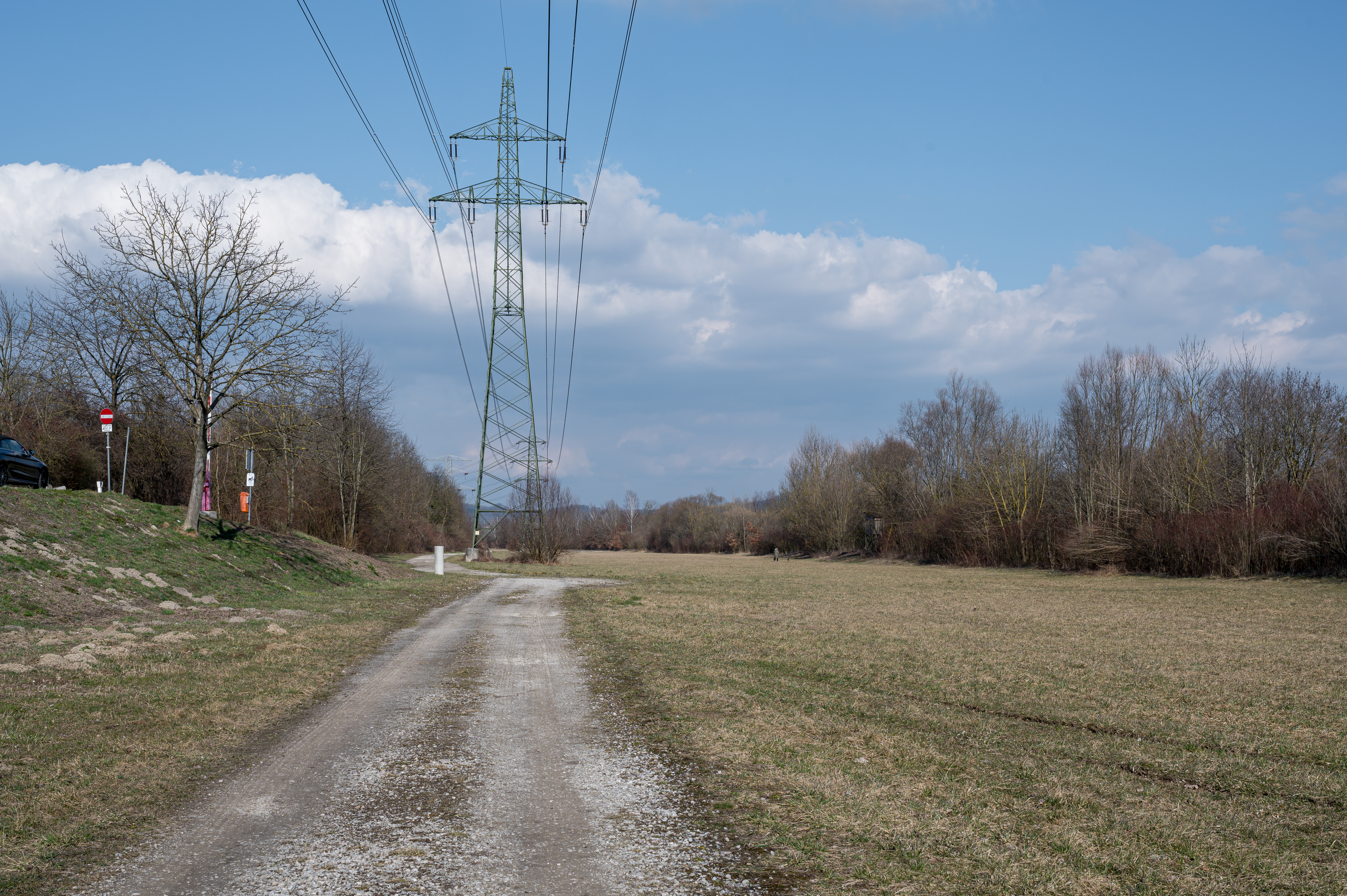 Hundefreilaufzone – Hundeort für Hunde