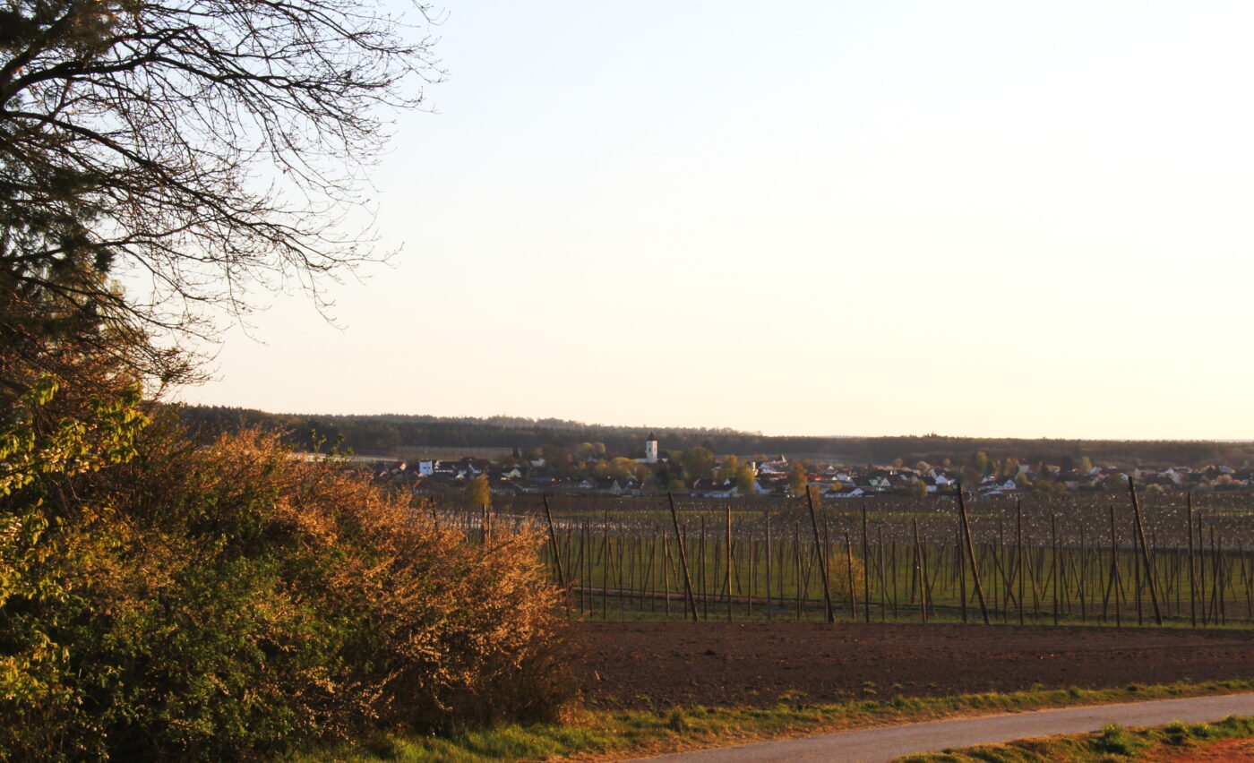 Blick auf Neustadt an der Donau – hundefreundliche Region rund um Campingplatz Felbermühle